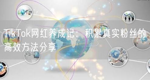 TikTok网红养成记：积累真实粉丝的高效方法分享