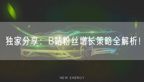 独家分享：B站粉丝增长策略全解析！