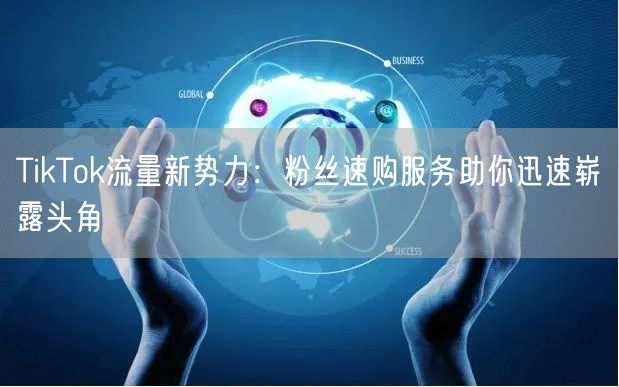 TikTok流量新势力：粉丝速购服务助你迅速崭露头角