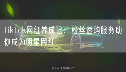 TikTok网红养成记：粉丝速购服务助你成为明星网红