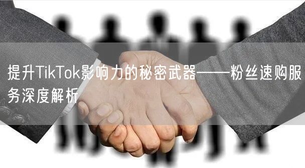 提升TikTok影响力的秘密武器——粉丝速购服务深度解析