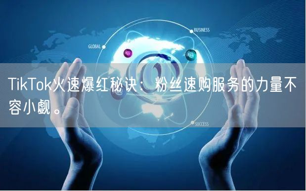 TikTok火速爆红秘诀：粉丝速购服务的力量不容小觑。