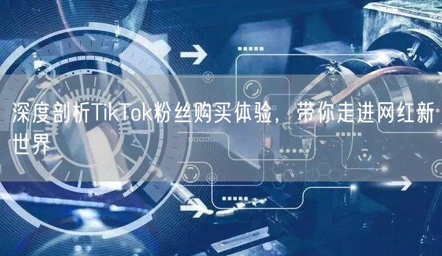 深度剖析TikTok粉丝购买体验，带你走进网红新世界