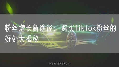 粉丝增长新途径：购买TikTok粉丝的好处大揭秘
