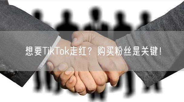 想要TikTok走红？购买粉丝是关键！