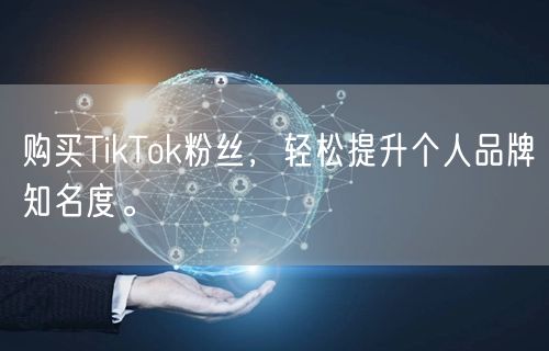 购买TikTok粉丝，轻松提升个人品牌知名度。