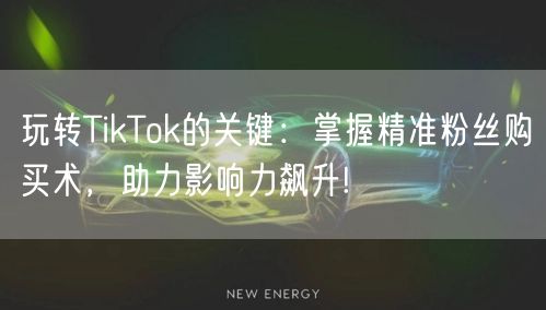 玩转TikTok的关键：掌握精准粉丝购买术，助力影响力飙升!