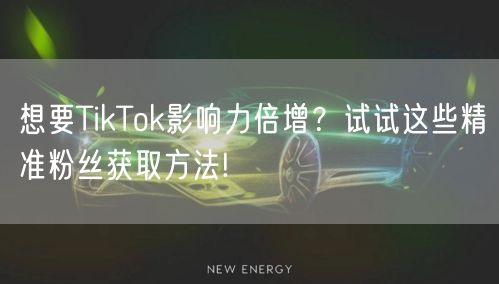 想要TikTok影响力倍增？试试这些精准粉丝获取方法!