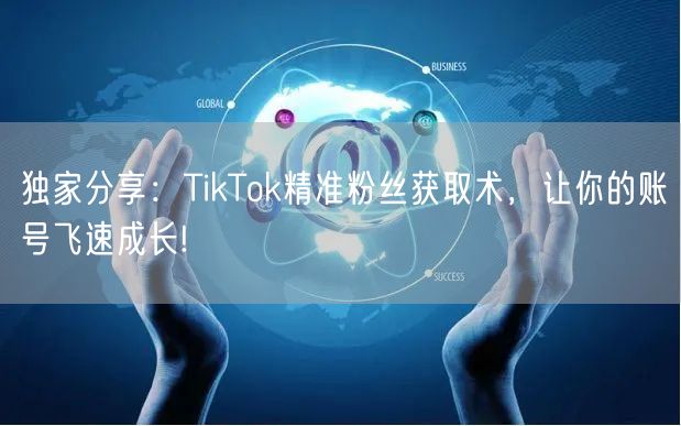 独家分享：TikTok精准粉丝获取术，让你的账号飞速成长!