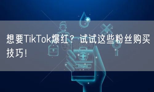 想要TikTok爆红？试试这些粉丝购买技巧！