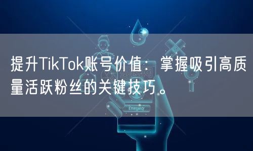 提升TikTok账号价值：掌握吸引高质量活跃粉丝的关键技巧。