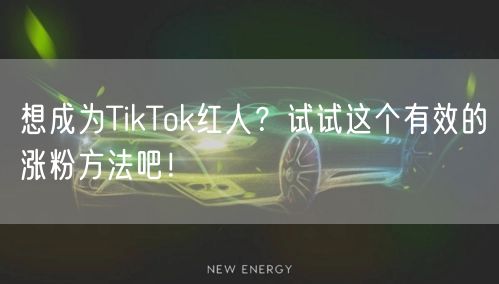 想成为TikTok红人？试试这个有效的涨粉方法吧！