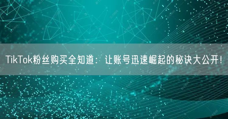 TikTok粉丝购买全知道：让账号迅速崛起的秘诀大公开！