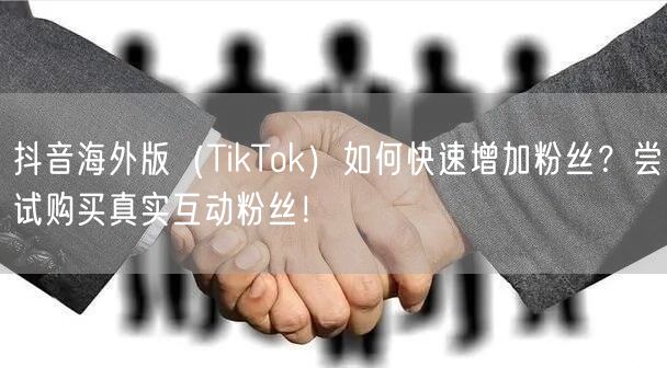抖音海外版（TikTok）如何快速增加粉丝？尝试购买真实互动粉丝！