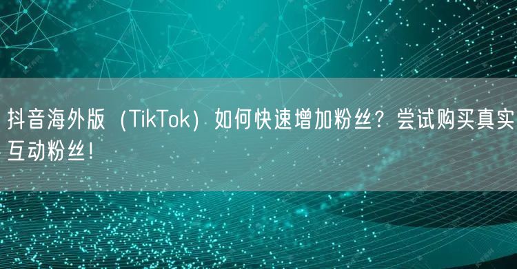 抖音海外版（TikTok）如何快速增加粉丝？尝试购买真实互动粉丝！