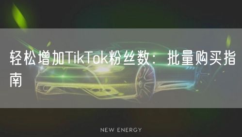 轻松增加TikTok粉丝数：批量购买指南