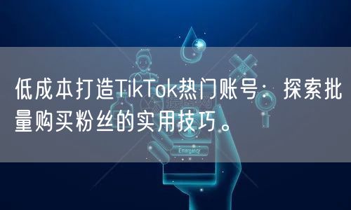低成本打造TikTok热门账号：探索批量购买粉丝的实用技巧。