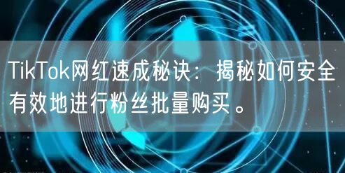TikTok网红速成秘诀：揭秘如何安全有效地进行粉丝批量购买。