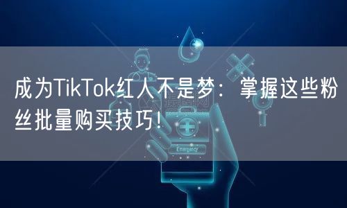 成为TikTok红人不是梦：掌握这些粉丝批量购买技巧！