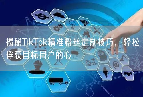 揭秘TikTok精准粉丝定制技巧，轻松俘获目标用户的心