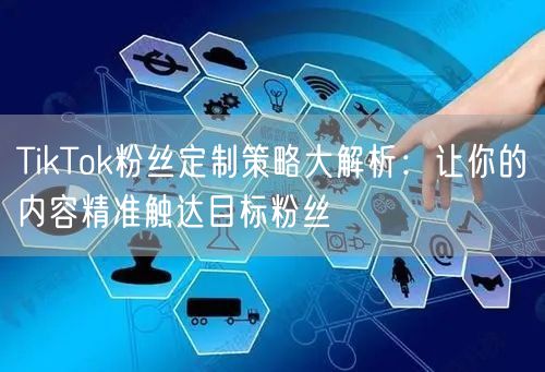 TikTok粉丝定制策略大解析：让你的内容精准触达目标粉丝