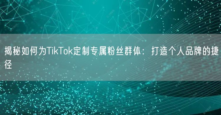 揭秘如何为TikTok定制专属粉丝群体：打造个人品牌的捷径