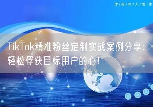 TikTok精准粉丝定制实战案例分享：轻松俘获目标用户的心！