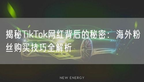 揭秘TikTok网红背后的秘密：海外粉丝购买技巧全解析