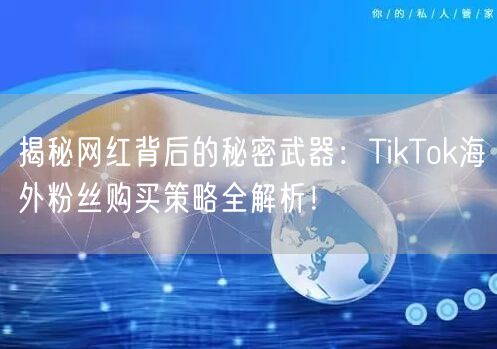 揭秘网红背后的秘密武器：TikTok海外粉丝购买策略全解析！