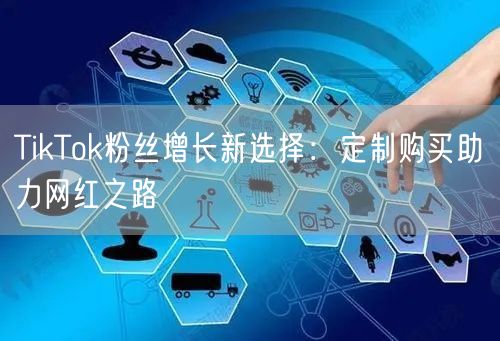 TikTok粉丝增长新选择：定制购买助力网红之路