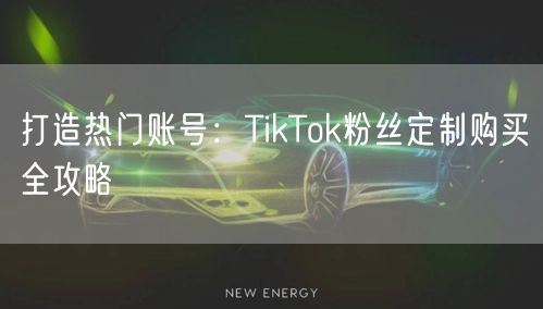打造热门账号：TikTok粉丝定制购买全攻略