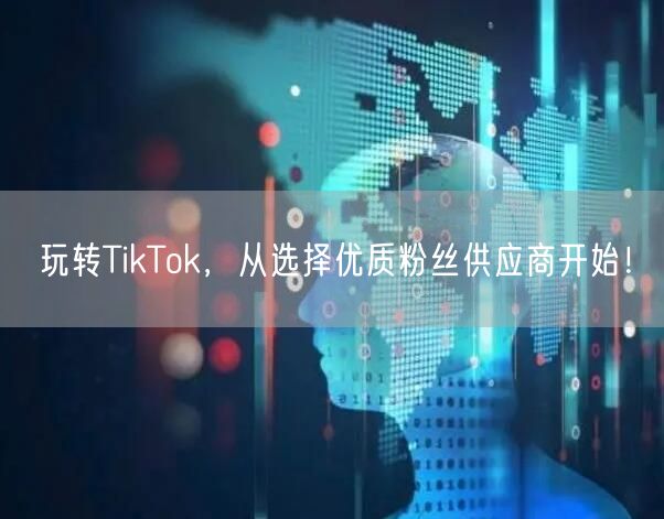 玩转TikTok，从选择优质粉丝供应商开始！