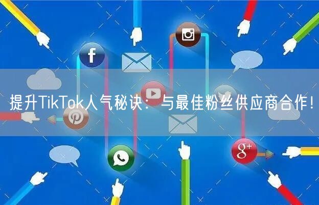 提升TikTok人气秘诀：与最佳粉丝供应商合作！