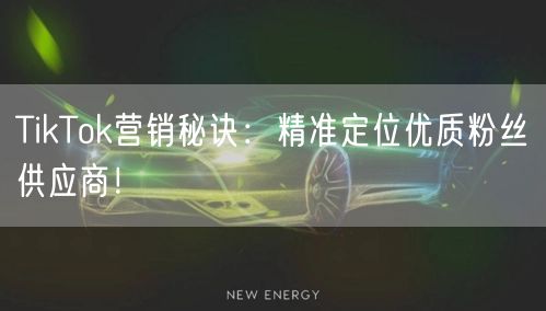 TikTok营销秘诀：精准定位优质粉丝供应商！