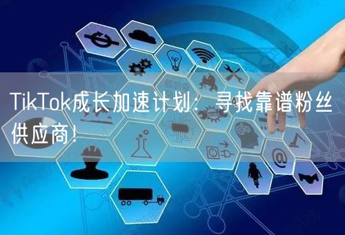 TikTok成长加速计划：寻找靠谱粉丝供应商！