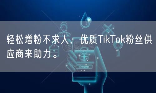 轻松增粉不求人，优质TikTok粉丝供应商来助力。