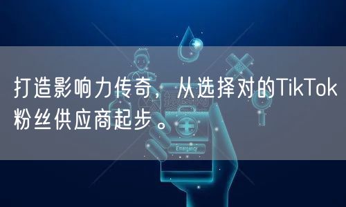 打造影响力传奇，从选择对的TikTok粉丝供应商起步。