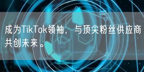 成为TikTok领袖，与顶尖粉丝供应商共创未来。