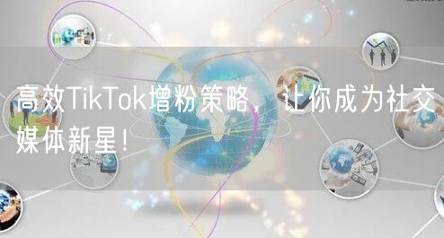高效TikTok增粉策略，让你成为社交媒体新星！