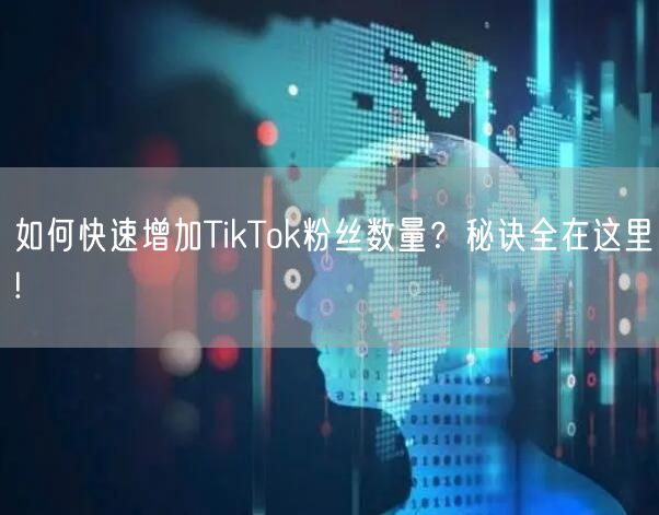 如何快速增加TikTok粉丝数量？秘诀全在这里!