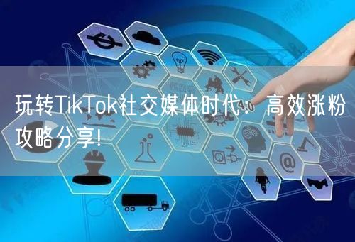 玩转TikTok社交媒体时代：高效涨粉攻略分享!