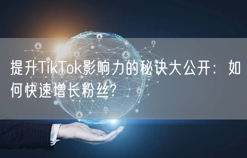 提升TikTok影响力的秘诀大公开：如何快速增长粉丝?