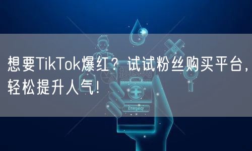 想要TikTok爆红？试试粉丝购买平台，轻松提升人气！