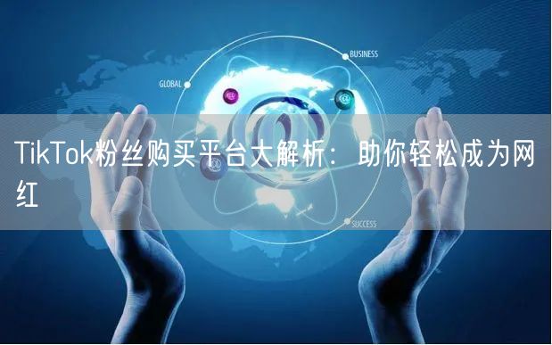 TikTok粉丝购买平台大解析：助你轻松成为网红