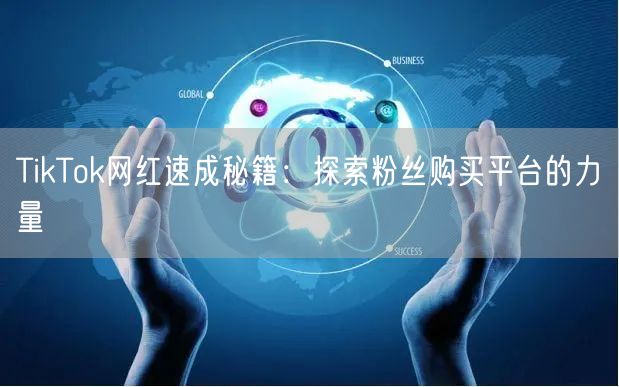 TikTok网红速成秘籍：探索粉丝购买平台的力量