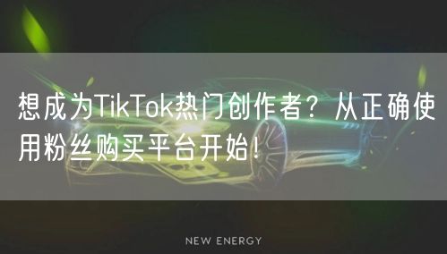 想成为TikTok热门创作者？从正确使用粉丝购买平台开始！