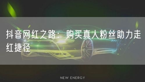 抖音网红之路：购买真人粉丝助力走红捷径