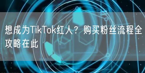 想成为TikTok红人？购买粉丝流程全攻略在此