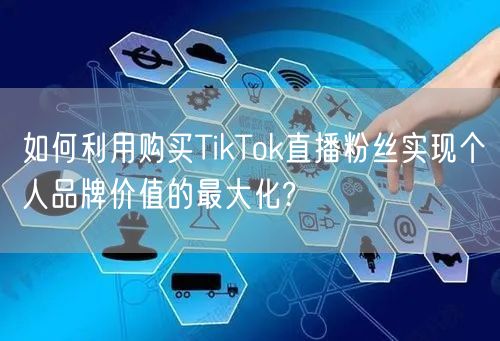 如何利用购买TikTok直播粉丝实现个人品牌价值的最大化?