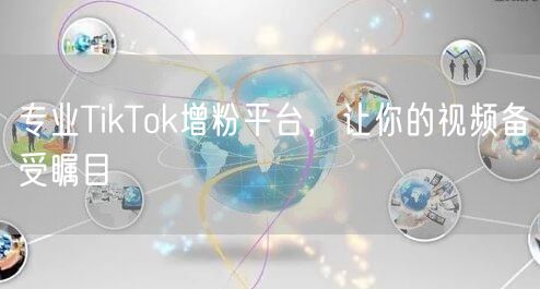 专业TikTok增粉平台，让你的视频备受瞩目